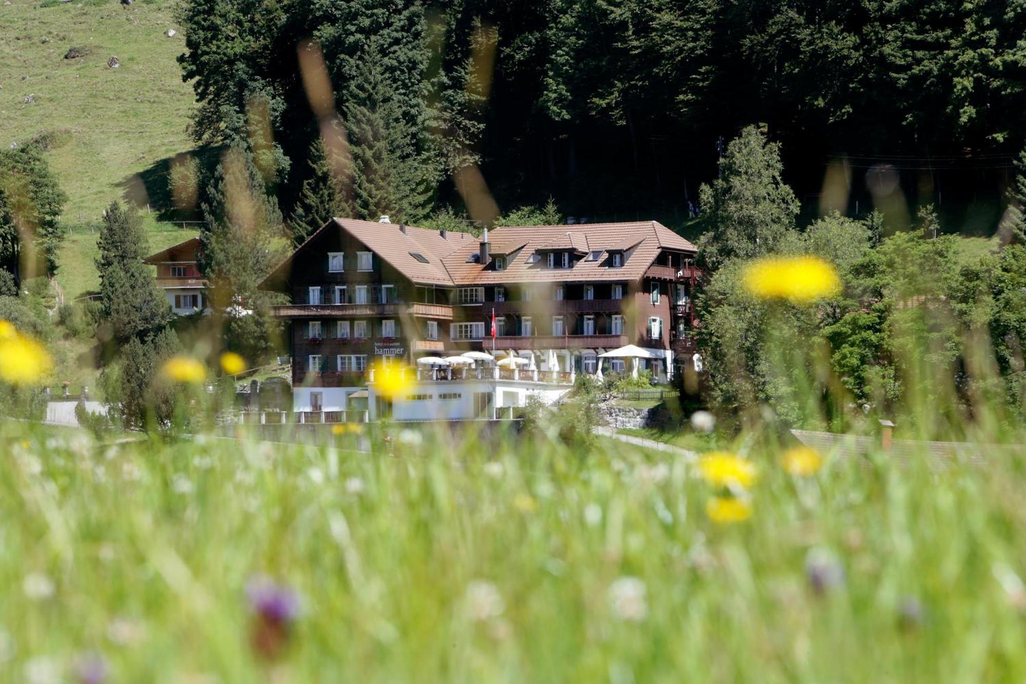 Hotel Restaurant Hammer Eigenthal Экстерьер фото
